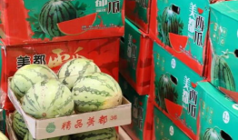 澧县吃瓜最新事件爆料视频,最新爆料视频揭秘惊人内幕